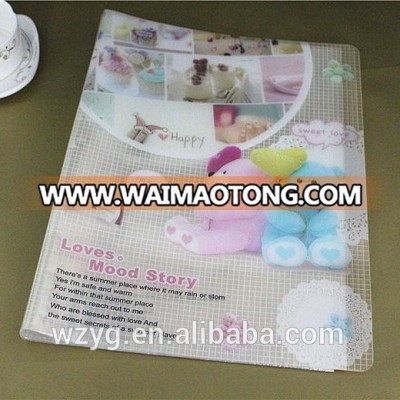 Handmade Paper File Clear Plastic Drawing Folder Sheet Protectors